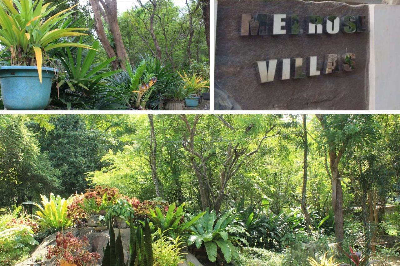 Sigiriya Melrose Villas Εξωτερικό φωτογραφία