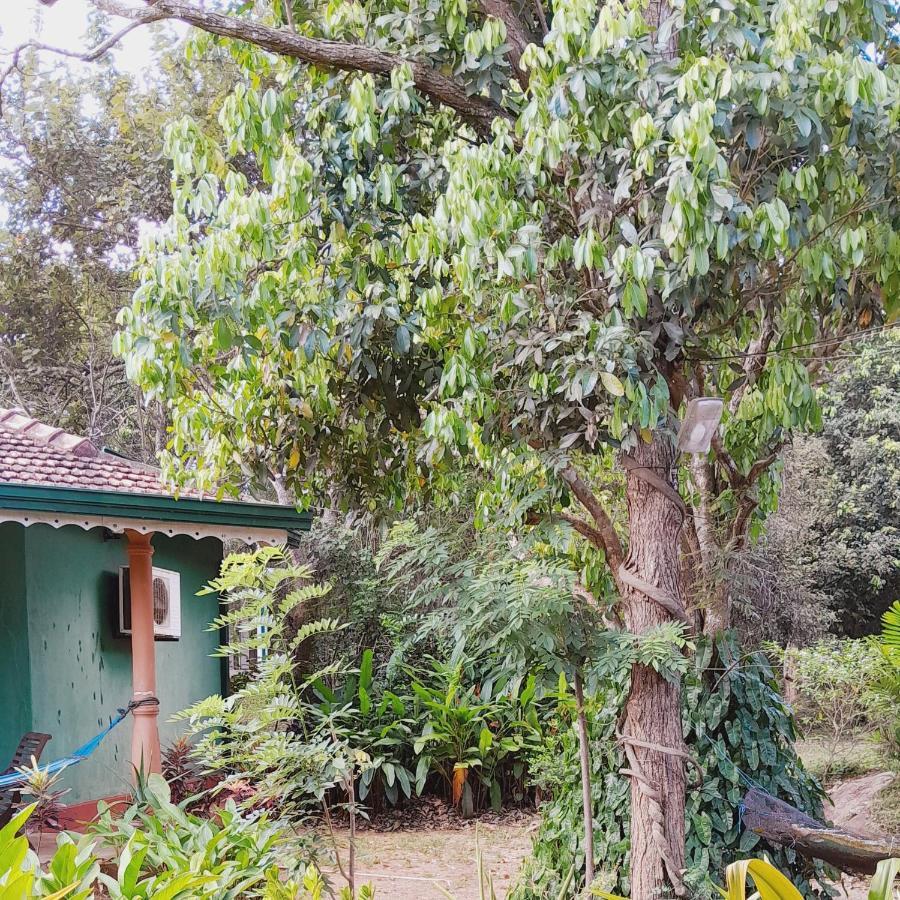Sigiriya Melrose Villas Εξωτερικό φωτογραφία